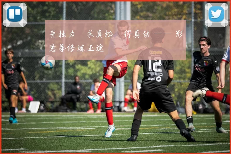 弃拙力・求真松・得真劲 —— 形意拳修炼正途