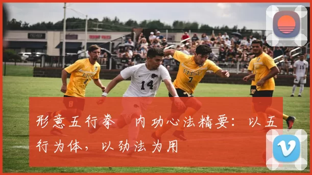 形意五行拳・内功心法精要：以五行为体，以劲法为用