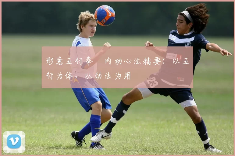 形意五行拳・内功心法精要：以五行为体，以劲法为用