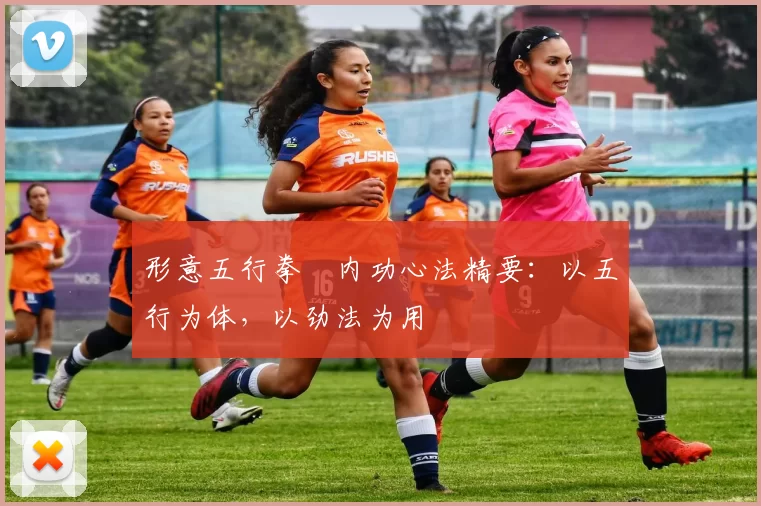 形意五行拳・内功心法精要：以五行为体，以劲法为用