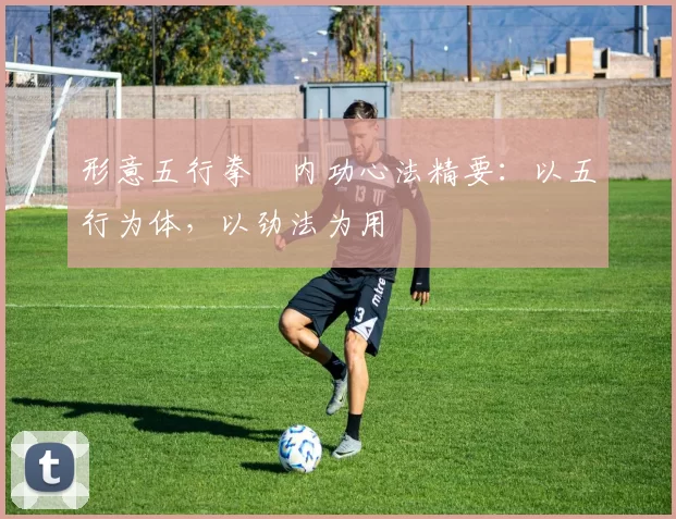 形意五行拳・内功心法精要:以五行为体,以劲法为用