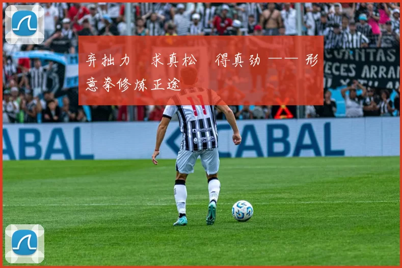 弃拙力・求真松・得真劲 —— 形意拳修炼正途