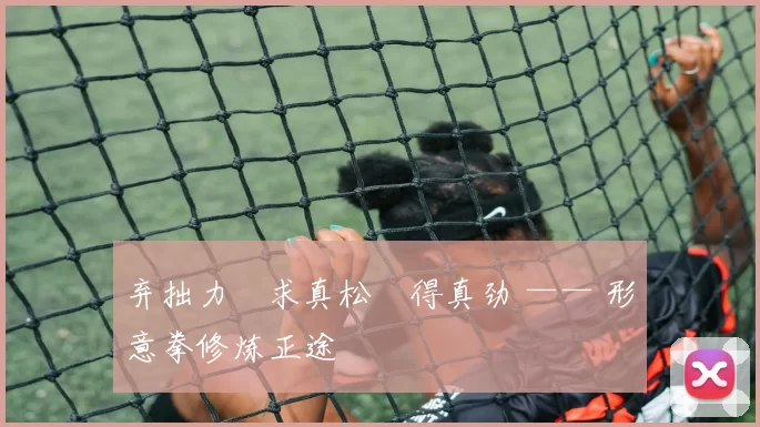 弃拙力・求真松・得真劲 —— 形意拳修炼正途