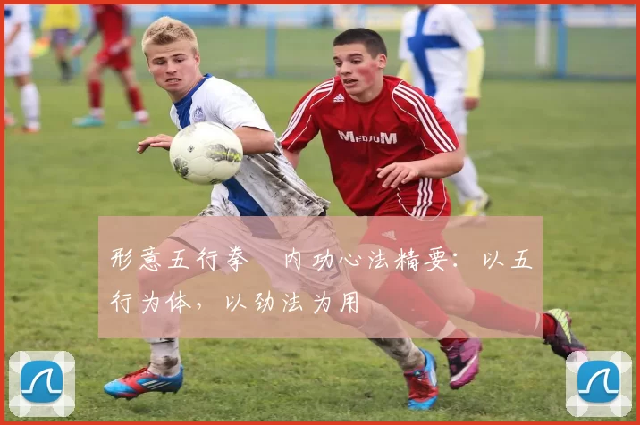 形意五行拳・内功心法精要：以五行为体，以劲法为用