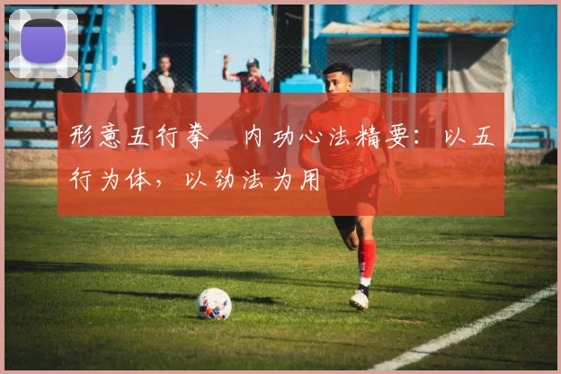 形意五行拳・内功心法精要:以五行为体,以劲法为用