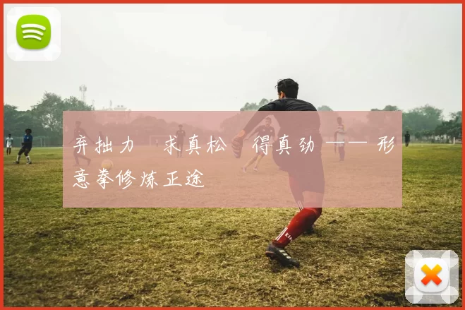 弃拙力・求真松・得真劲 —— 形意拳修炼正途