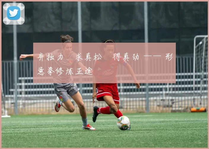 弃拙力・求真松・得真劲 —— 形意拳修炼正途