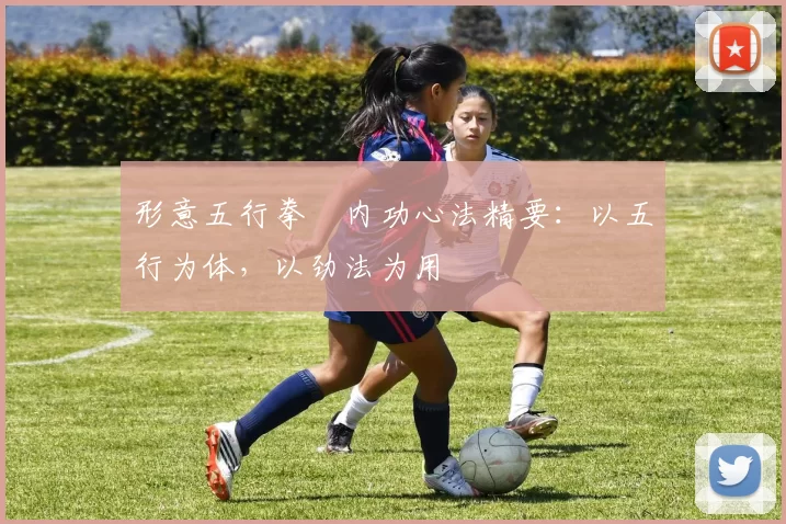 形意五行拳・内功心法精要：以五行为体，以劲法为用