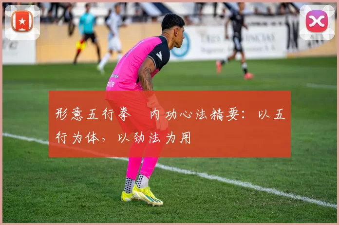 形意五行拳・内功心法精要：以五行为体，以劲法为用