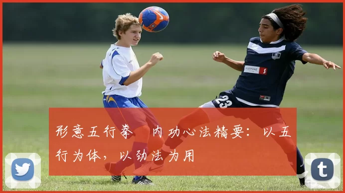 形意五行拳・内功心法精要:以五行为体,以劲法为用