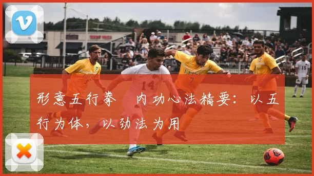 形意五行拳・内功心法精要：以五行为体，以劲法为用