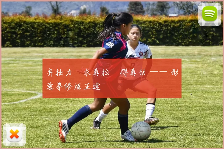 弃拙力・求真松・得真劲 —— 形意拳修炼正途