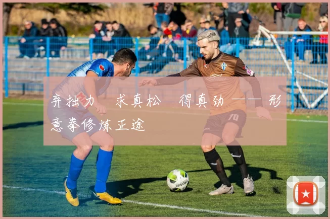 弃拙力・求真松・得真劲 —— 形意拳修炼正途