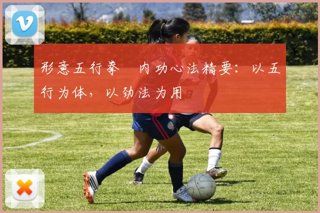形意五行拳・内功心法精要：以五行为体，以劲法为用