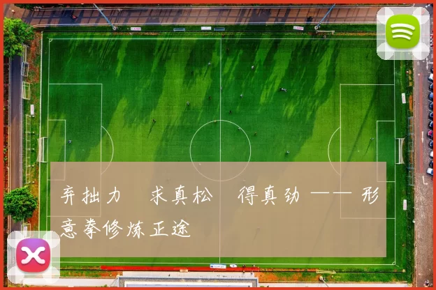弃拙力・求真松・得真劲 —— 形意拳修炼正途