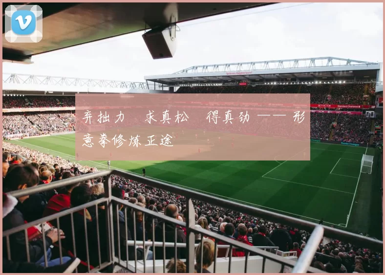 弃拙力・求真松・得真劲 —— 形意拳修炼正途