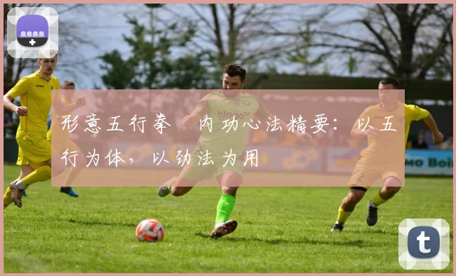 形意五行拳・内功心法精要:以五行为体,以劲法为用