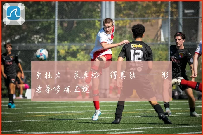 弃拙力・求真松・得真劲 —— 形意拳修炼正途