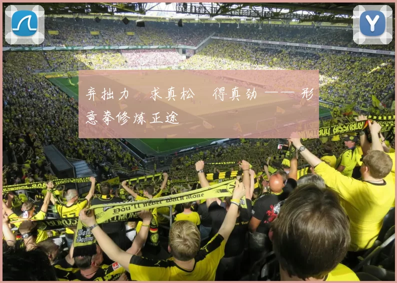 弃拙力・求真松・得真劲 —— 形意拳修炼正途