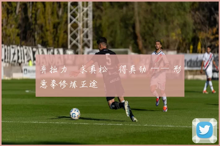 弃拙力・求真松・得真劲 —— 形意拳修炼正途