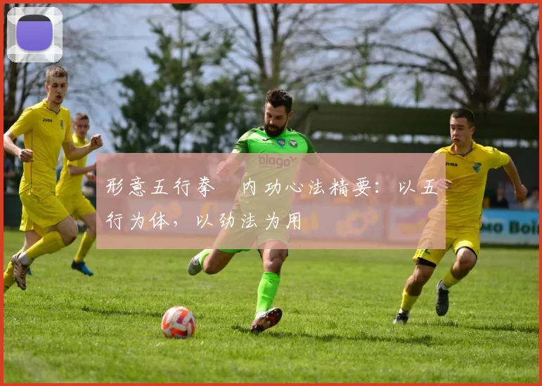 形意五行拳・内功心法精要:以五行为体,以劲法为用