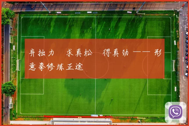 弃拙力・求真松・得真劲 —— 形意拳修炼正途