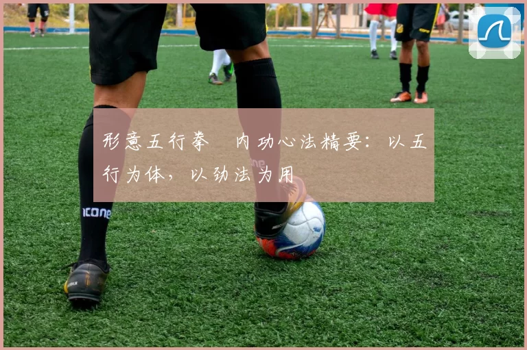 形意五行拳・内功心法精要:以五行为体,以劲法为用
