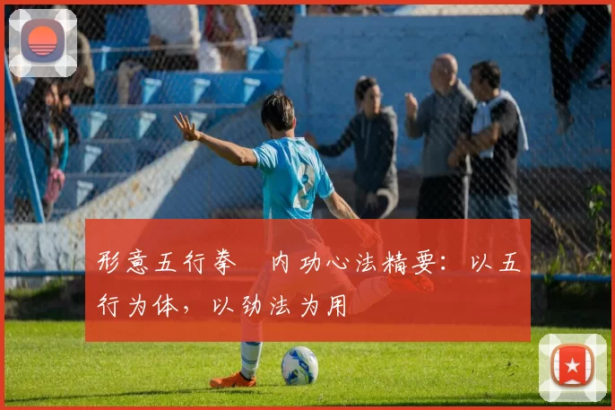 形意五行拳・内功心法精要:以五行为体,以劲法为用