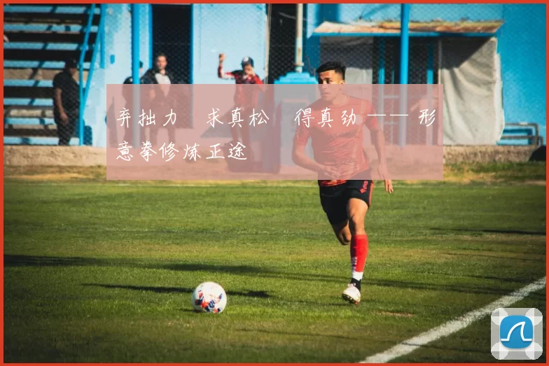 弃拙力・求真松・得真劲 —— 形意拳修炼正途
