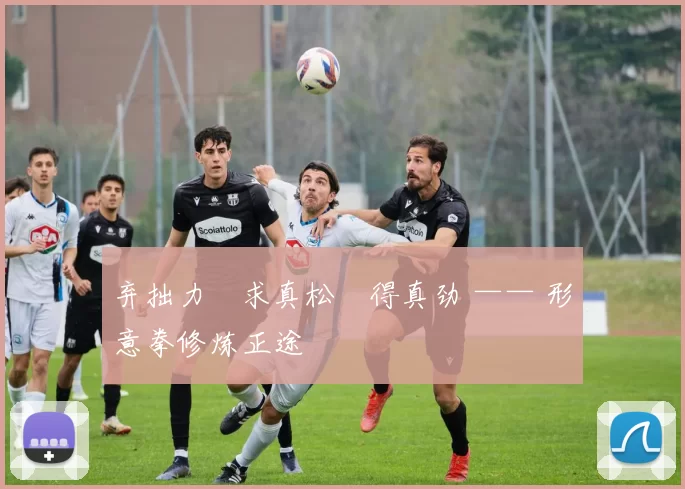 弃拙力・求真松・得真劲 —— 形意拳修炼正途