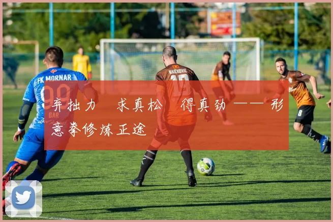 弃拙力・求真松・得真劲 —— 形意拳修炼正途