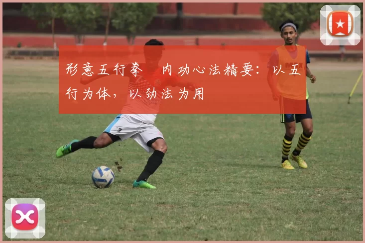 形意五行拳・内功心法精要：以五行为体，以劲法为用