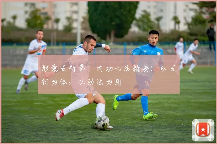 形意五行拳・内功心法精要：以五行为体，以劲法为用