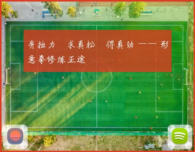 弃拙力・求真松・得真劲 —— 形意拳修炼正途