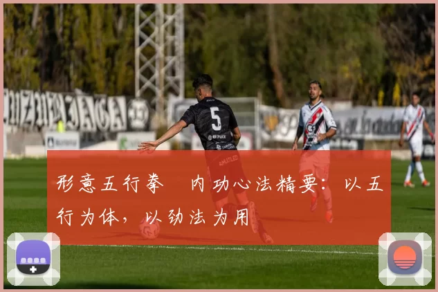 形意五行拳・内功心法精要：以五行为体，以劲法为用