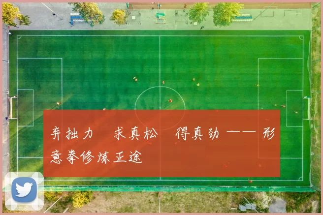 弃拙力・求真松・得真劲 —— 形意拳修炼正途