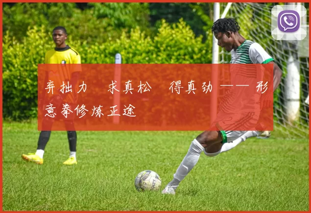 弃拙力・求真松・得真劲 —— 形意拳修炼正途
