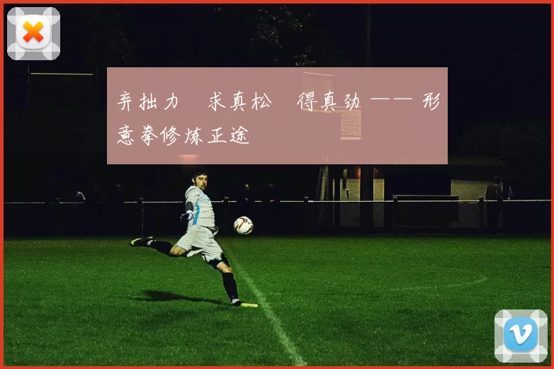 弃拙力・求真松・得真劲 —— 形意拳修炼正途