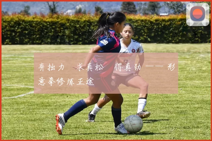 弃拙力・求真松・得真劲 —— 形意拳修炼正途