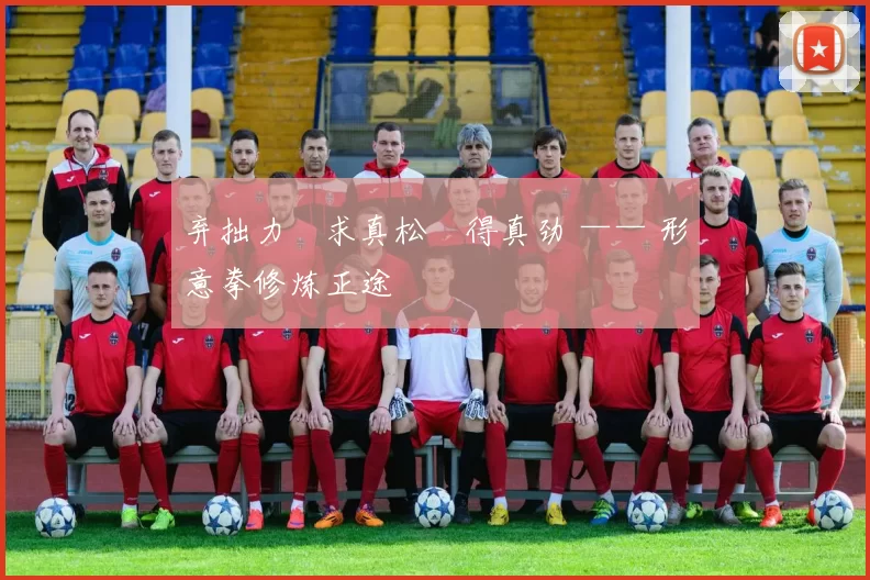 弃拙力・求真松・得真劲 —— 形意拳修炼正途