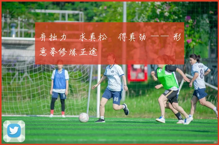 弃拙力・求真松・得真劲 —— 形意拳修炼正途