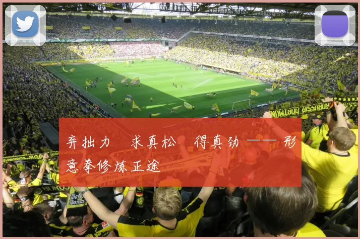 弃拙力・求真松・得真劲 —— 形意拳修炼正途