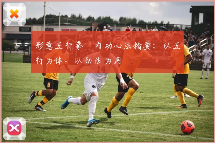 形意五行拳・内功心法精要：以五行为体，以劲法为用