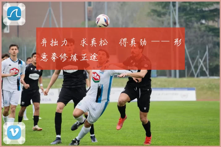 弃拙力・求真松・得真劲 —— 形意拳修炼正途