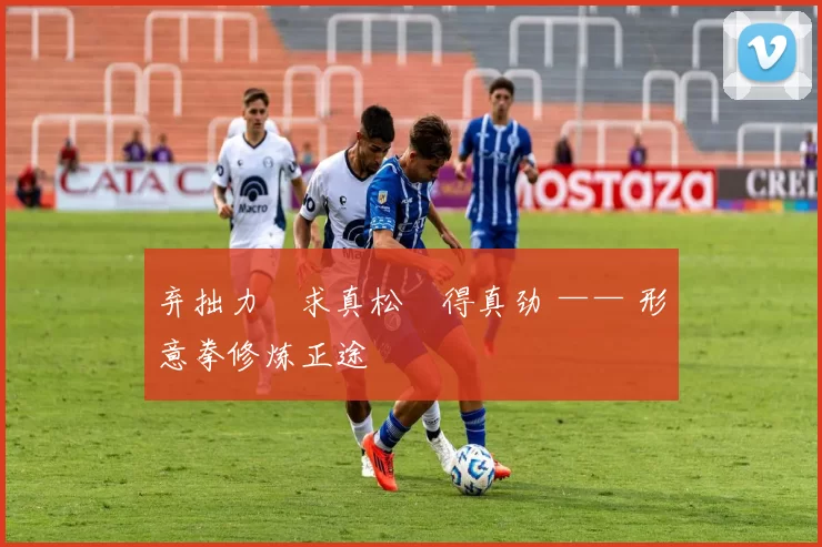 弃拙力・求真松・得真劲 —— 形意拳修炼正途