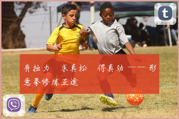 弃拙力・求真松・得真劲 —— 形意拳修炼正途