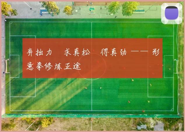 弃拙力・求真松・得真劲 —— 形意拳修炼正途