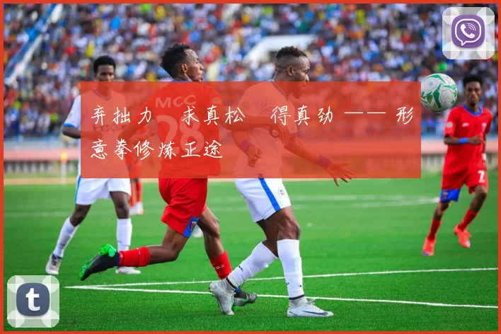 弃拙力・求真松・得真劲 —— 形意拳修炼正途