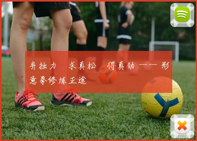 弃拙力・求真松・得真劲 —— 形意拳修炼正途