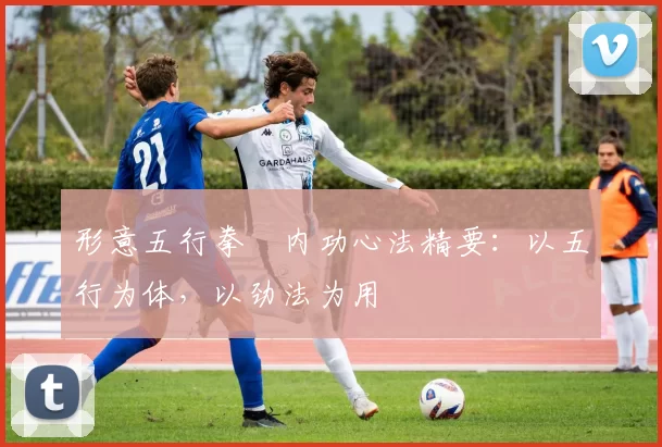 形意五行拳・内功心法精要:以五行为体,以劲法为用